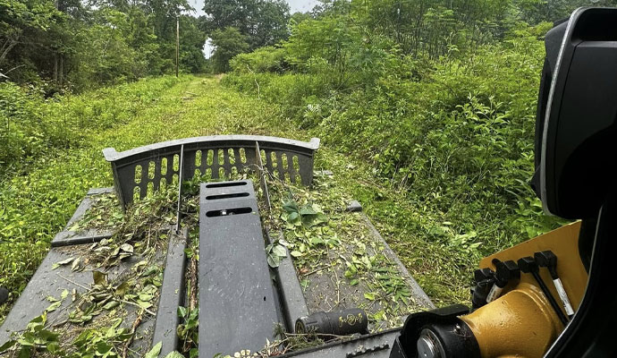 Brush clearing service with skid steer