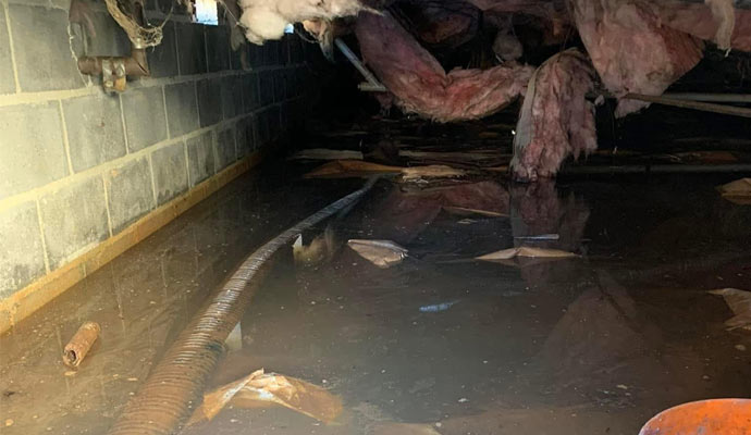 Dirty crawl space