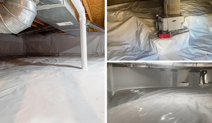 Collage of crawl space repair services