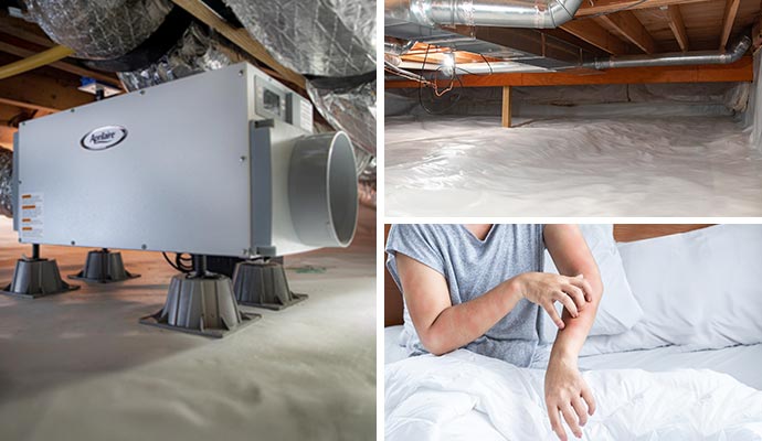Collage of dehumidifier, waterproofing in crawl space, and allergy effect on body