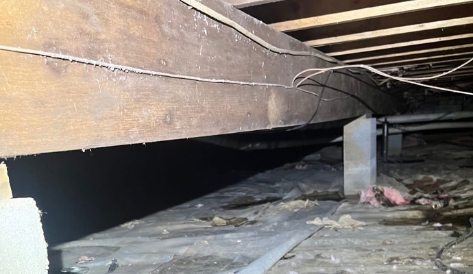 Dirty crawl space