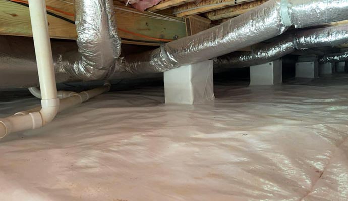 Prevent Moldy Crawl Space in Knoxville