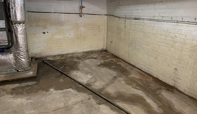A moist basement