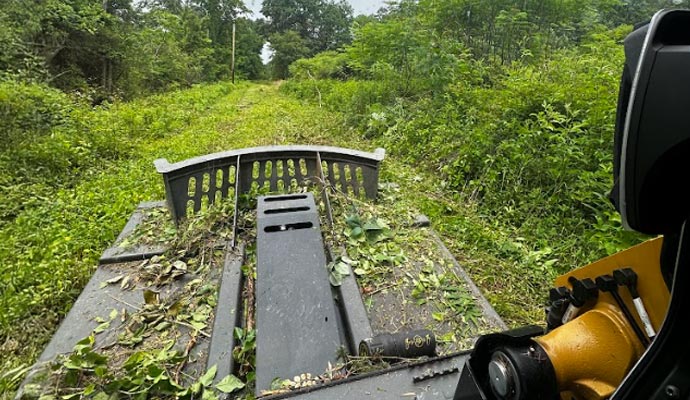 Skid steer using a brush cutter to clear a forest trail. Skid steer using a brush cutter to clear a forest trail.